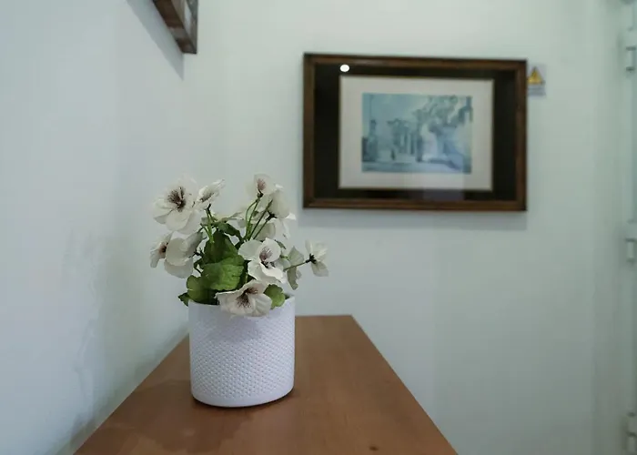 Douro Garden Rooftop Vila Nova de Gaia